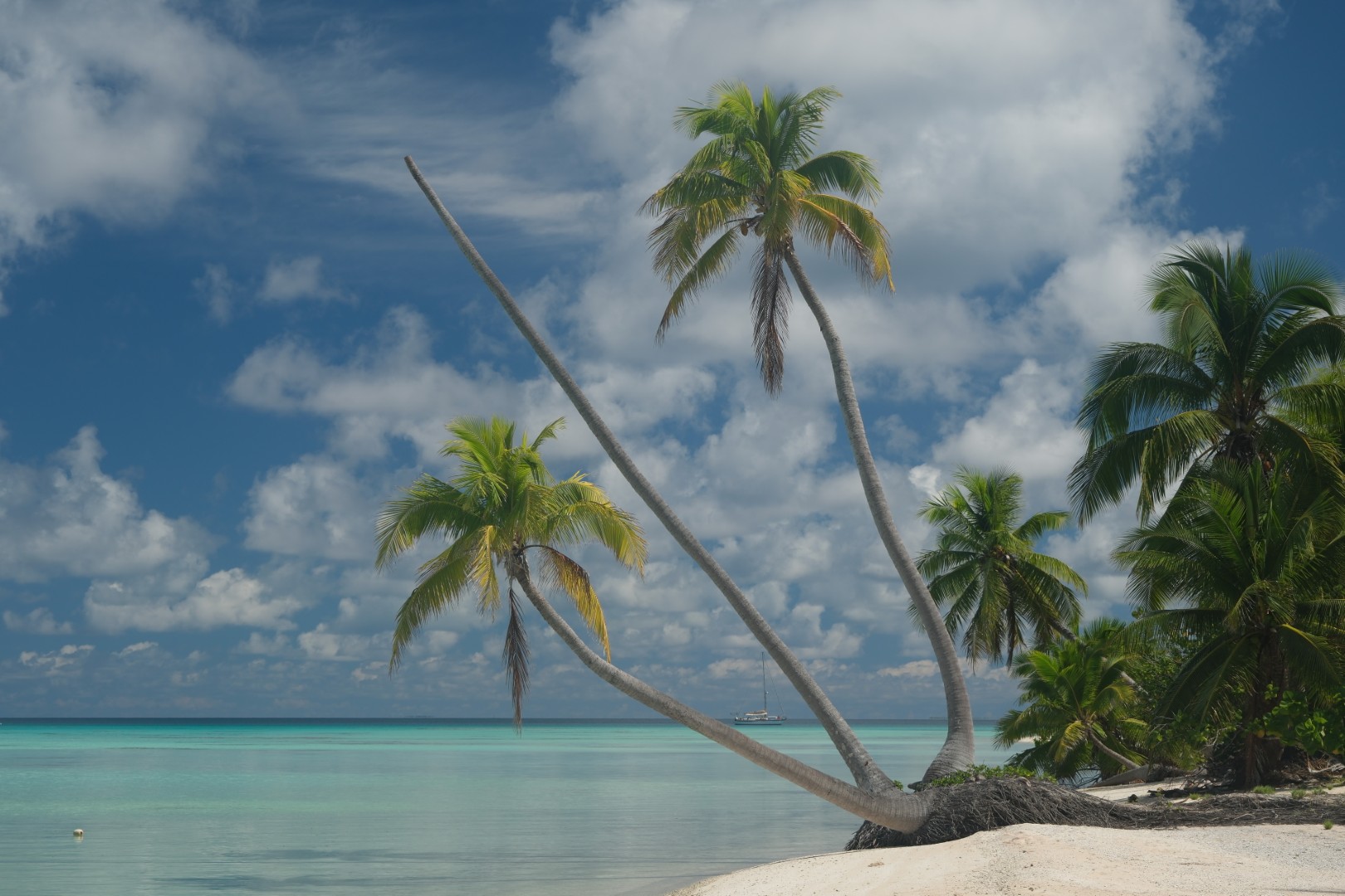 South Pacific
