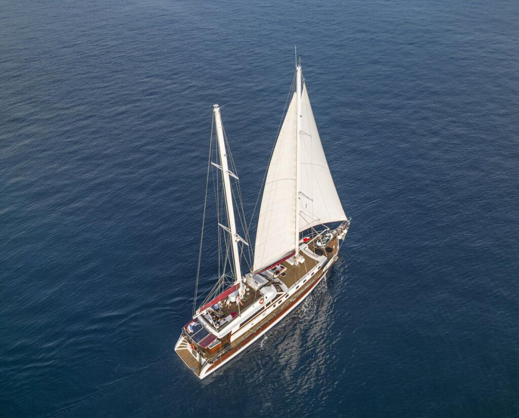 Gulet & Motor Sailer 