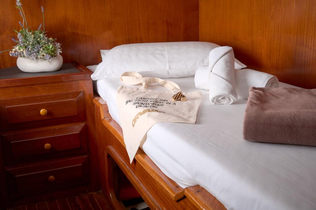 Gulet & Motor Sailer 