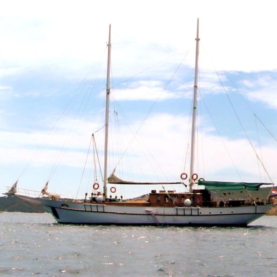Gulet & Motor Sailer 