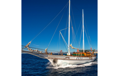 Gulet & Motor Sailer 