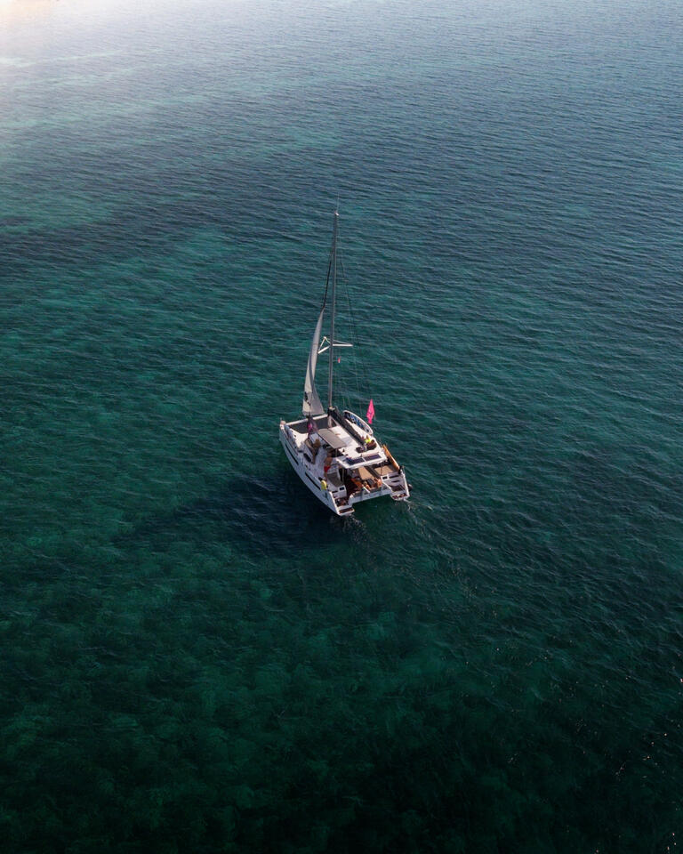Catamaran 
