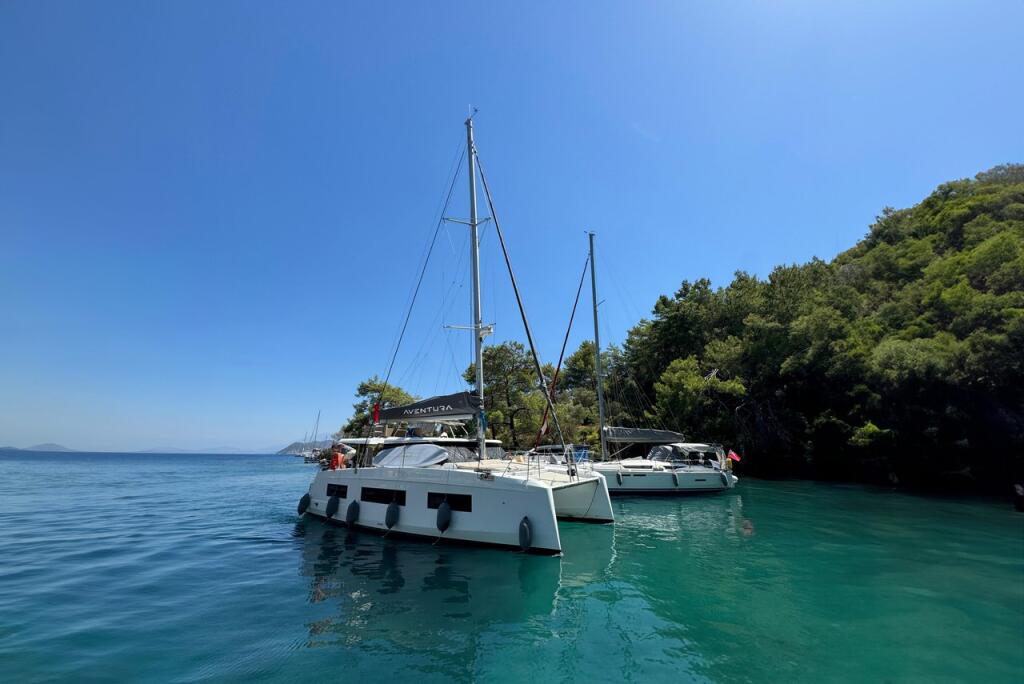 Catamaran 