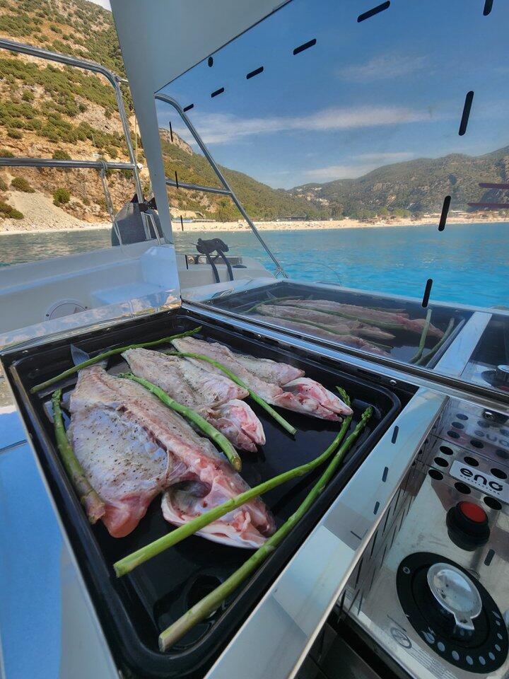 Catamaran 