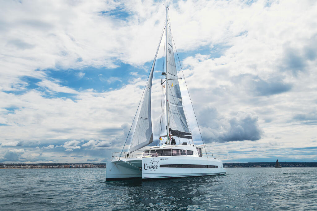 Catamaran 