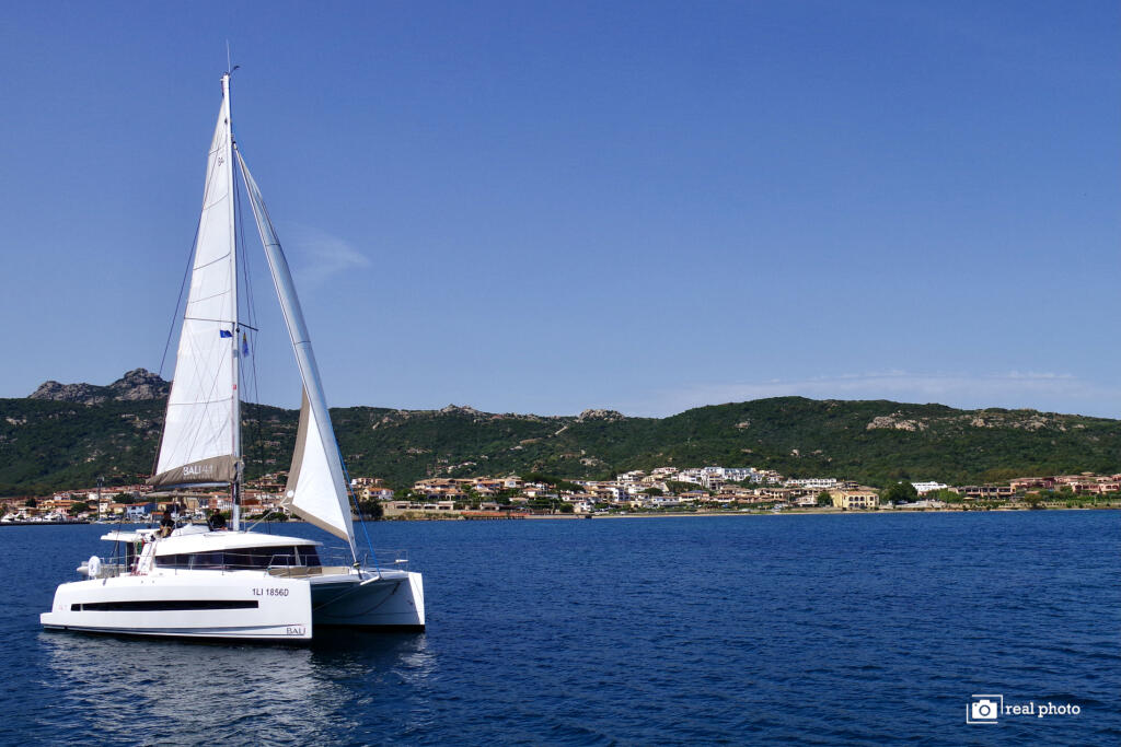 Catamaran 