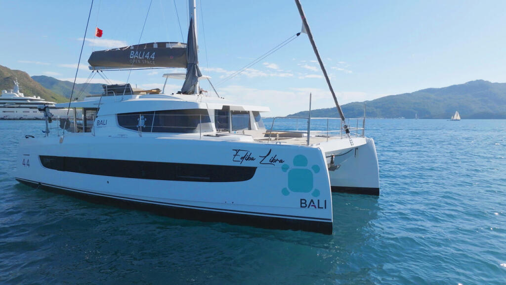Catamaran 