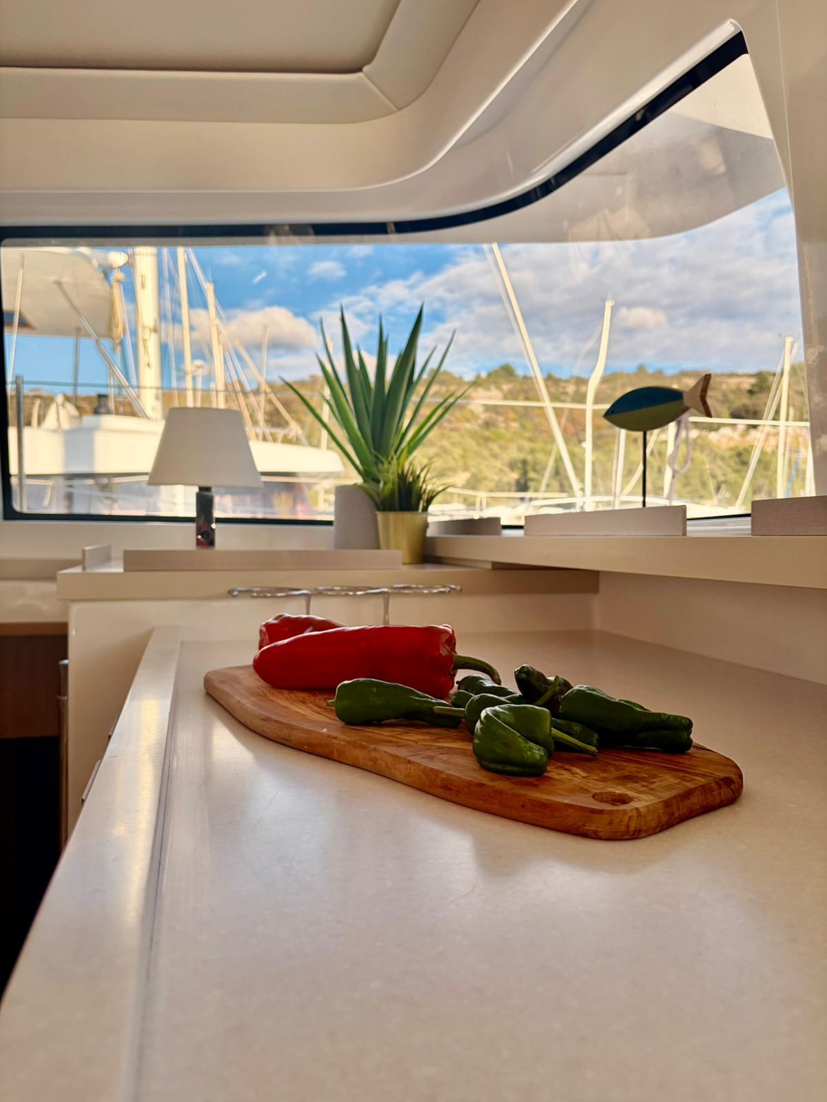 Catamaran 