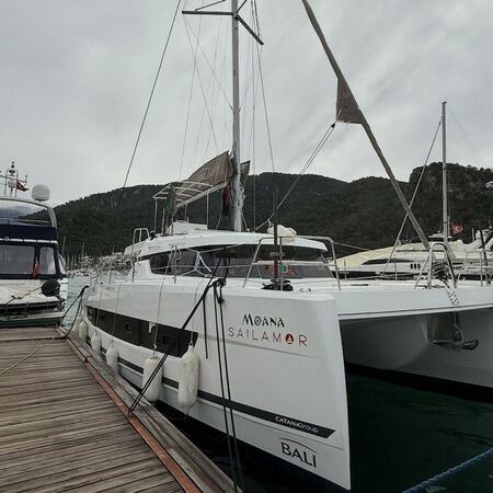 Catamaran 