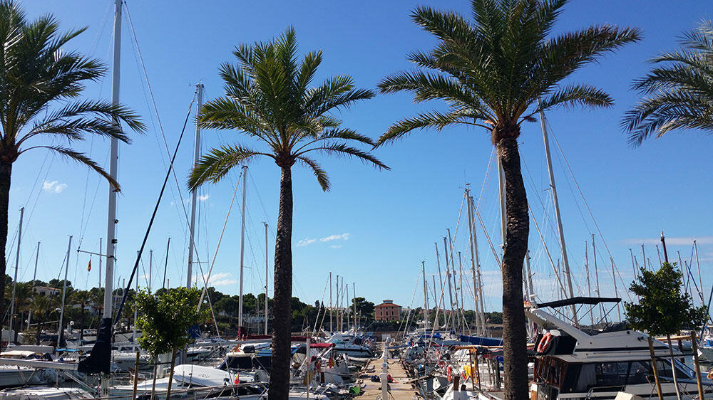 Velero 
