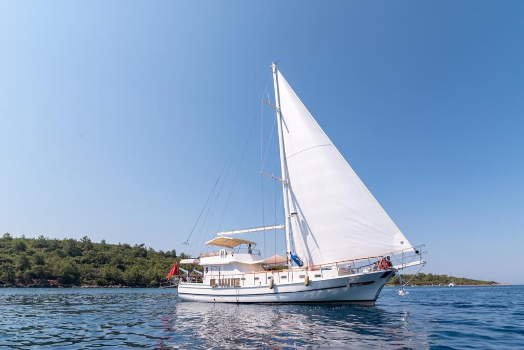 Gulet & Motor Sailer 