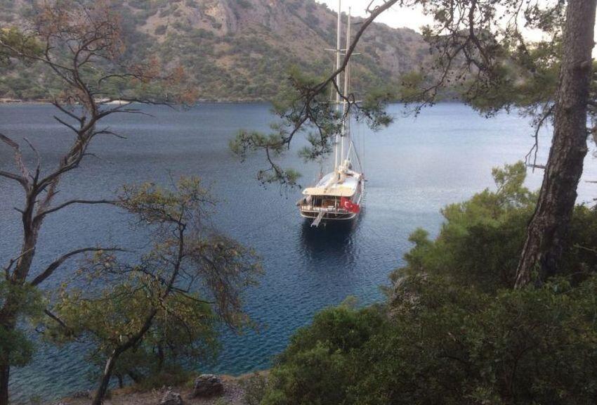 Gulet & Motor Sailer 