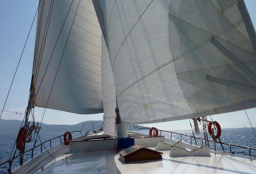 Gulet & Motor Sailer 
