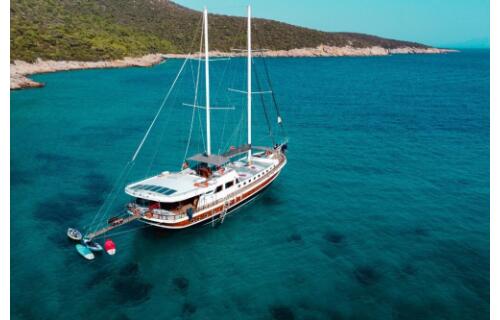 Gulet & Motorsailer 