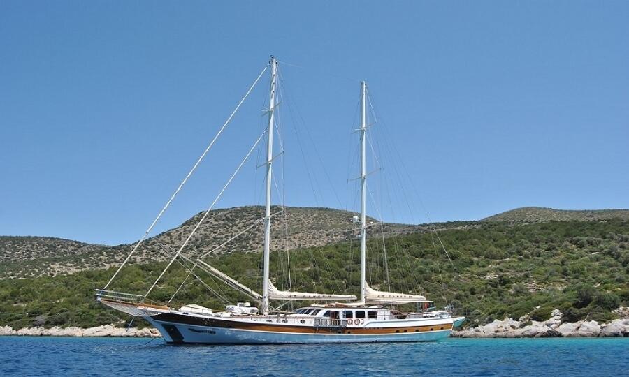 Gulet & Motor Sailer 