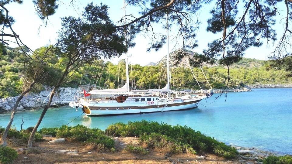 Gulet & Motor Sailer 