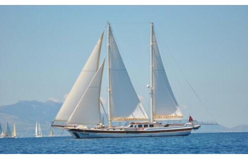 Gulet & Motor Sailer 