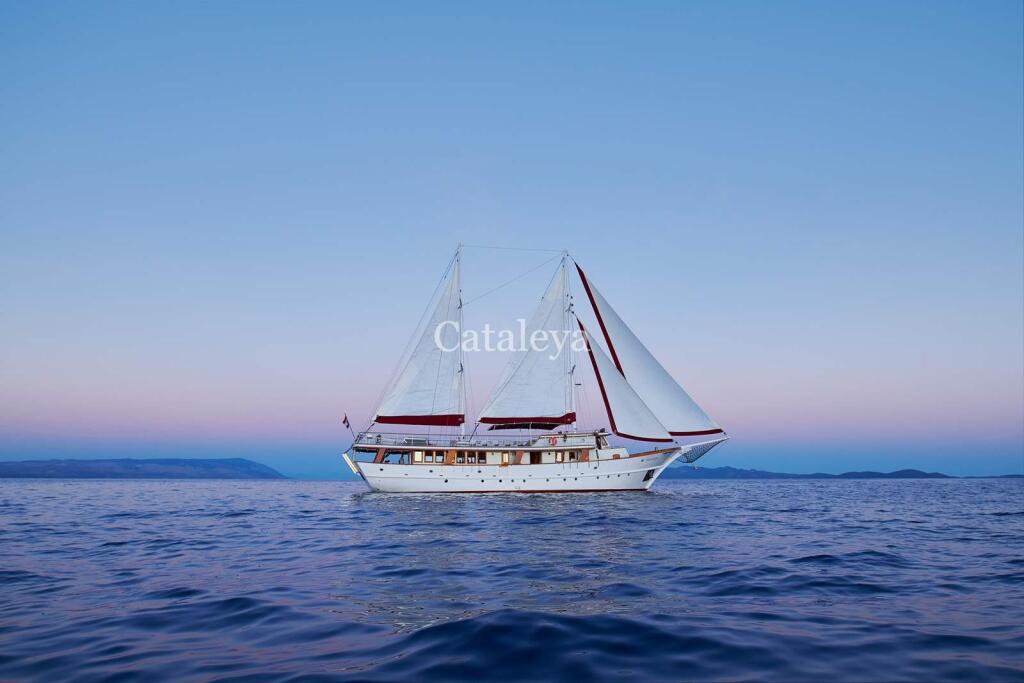 Gulet & Motor Sailer 
