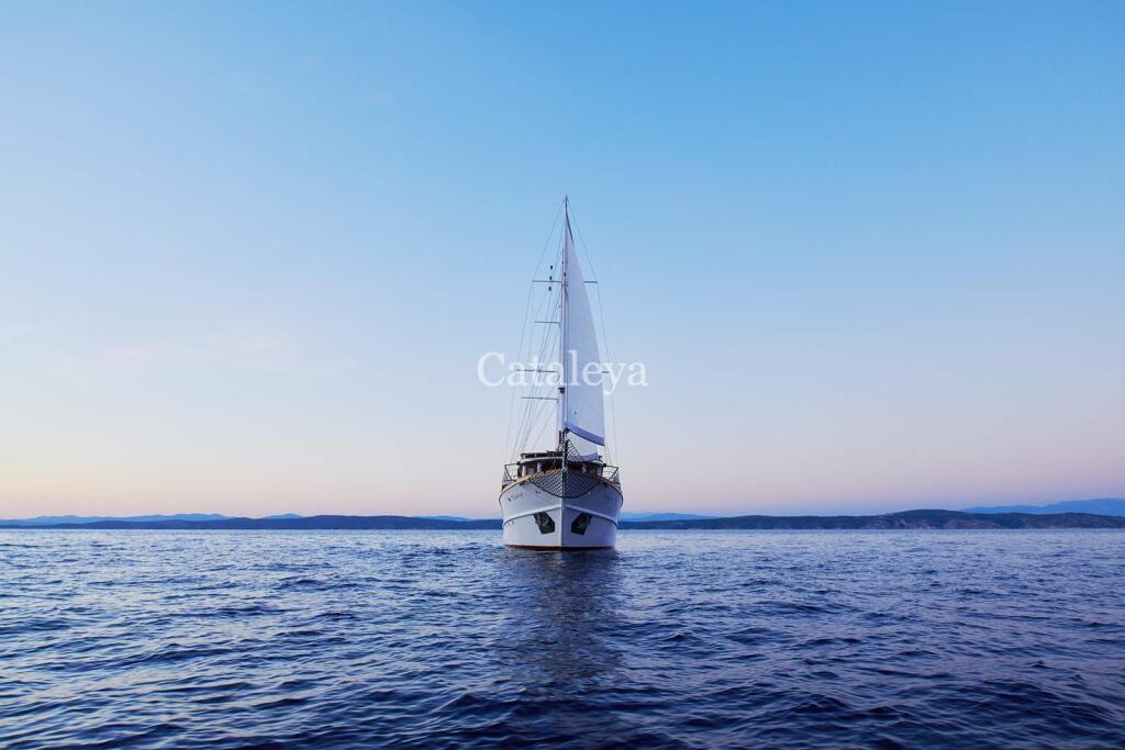Gulet & Motor Sailer 