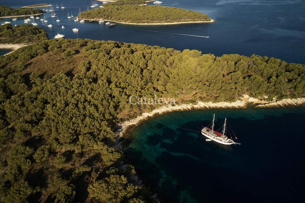 Gulet & Motor Sailer 