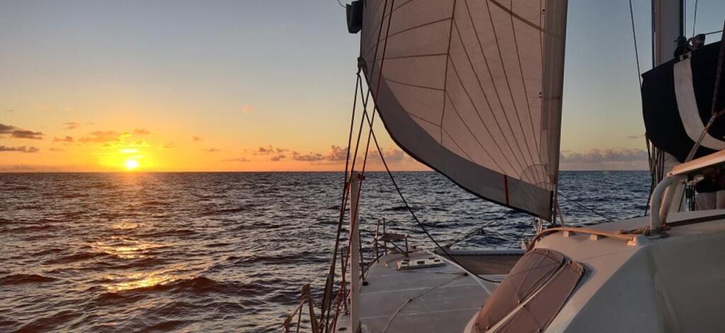 Catamaran 