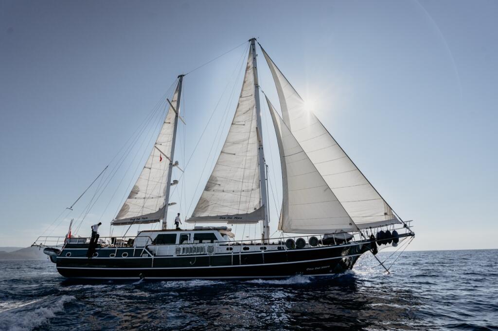 Gulet & Motor Sailer 