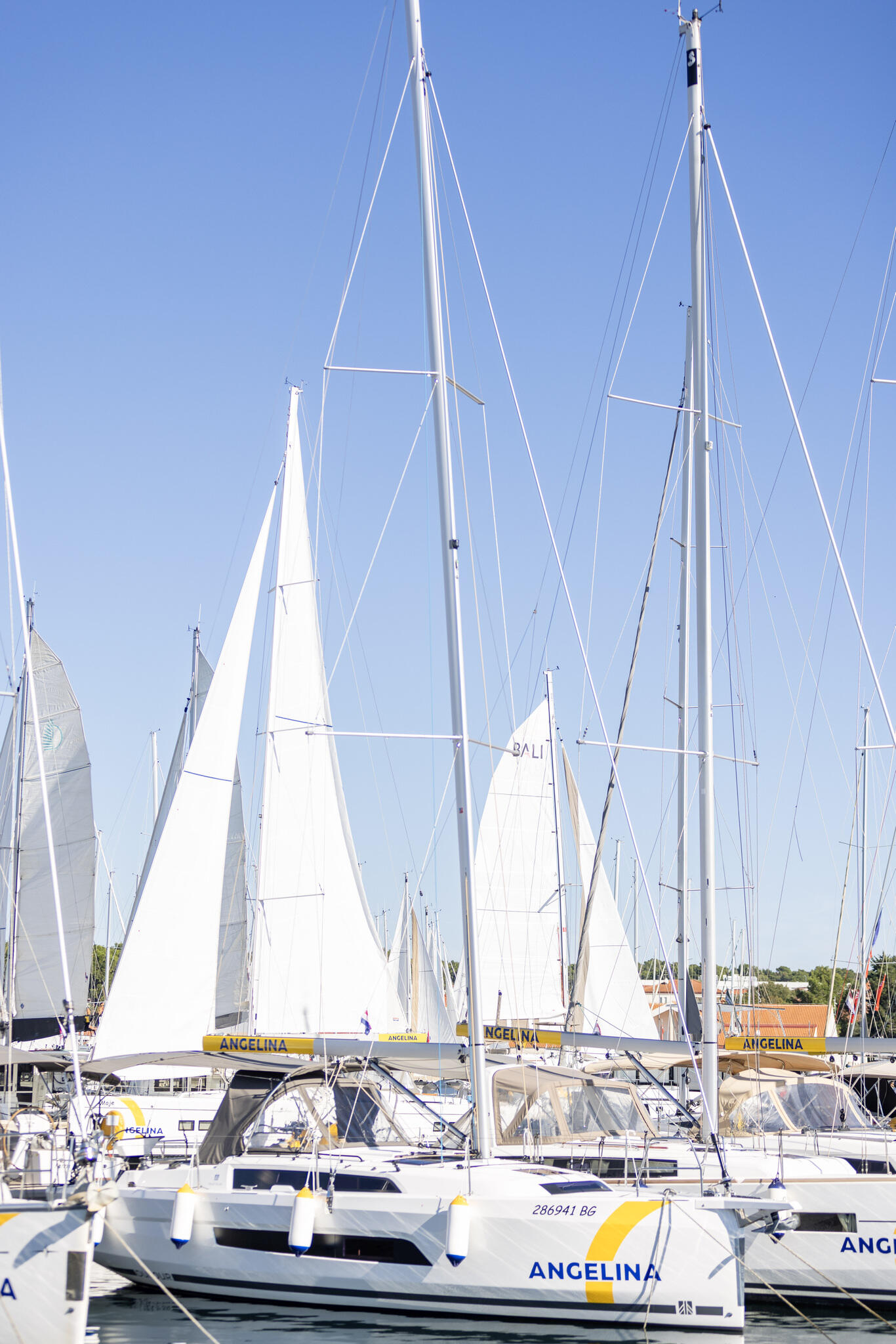Sailing yacht 