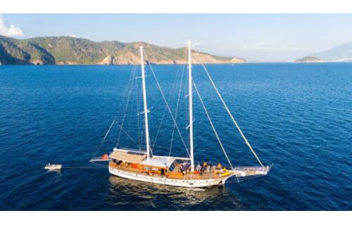 Gulet & Motor Sailer 