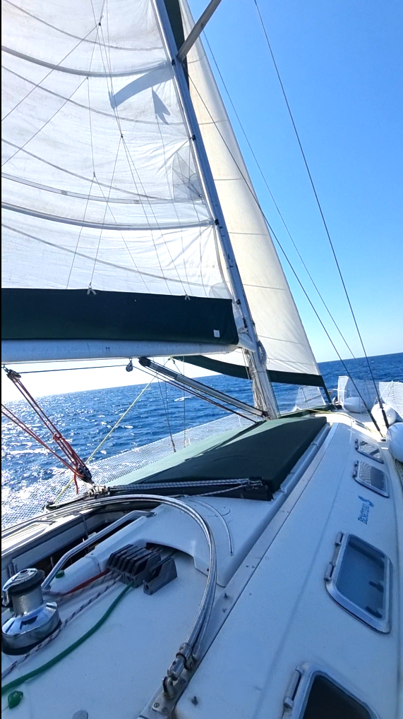 Segelyacht 