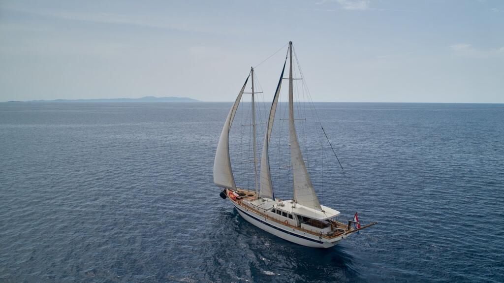 Gulet & Motor Sailer 