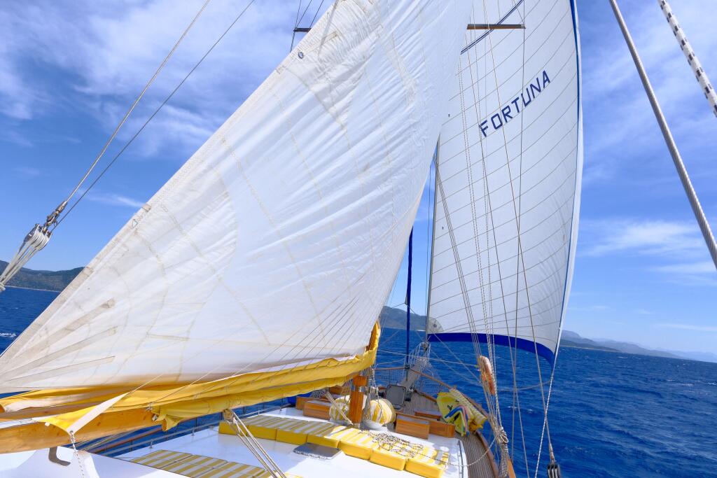 Gulet & Motor Sailer 