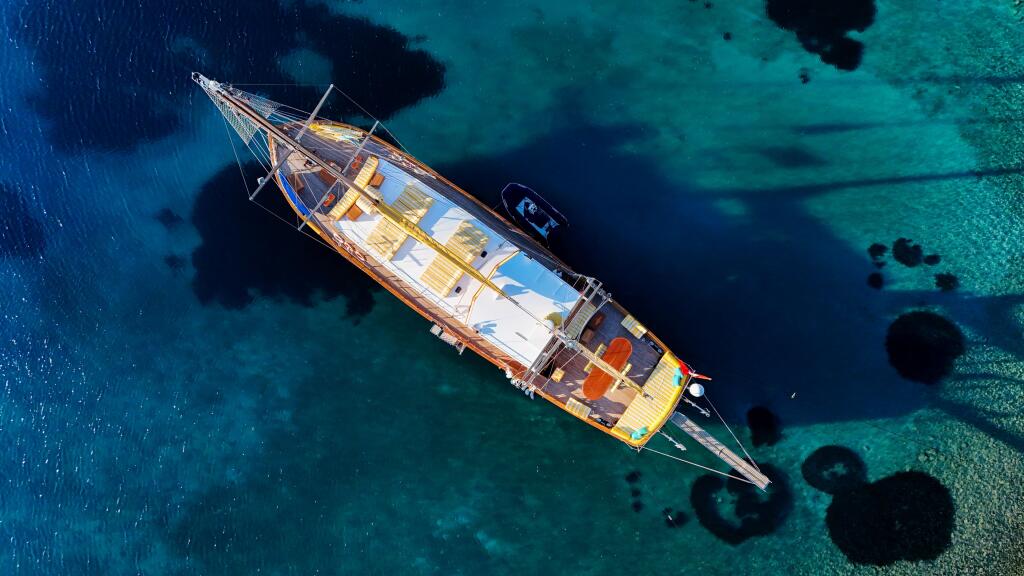 Gulet & Motor Sailer 