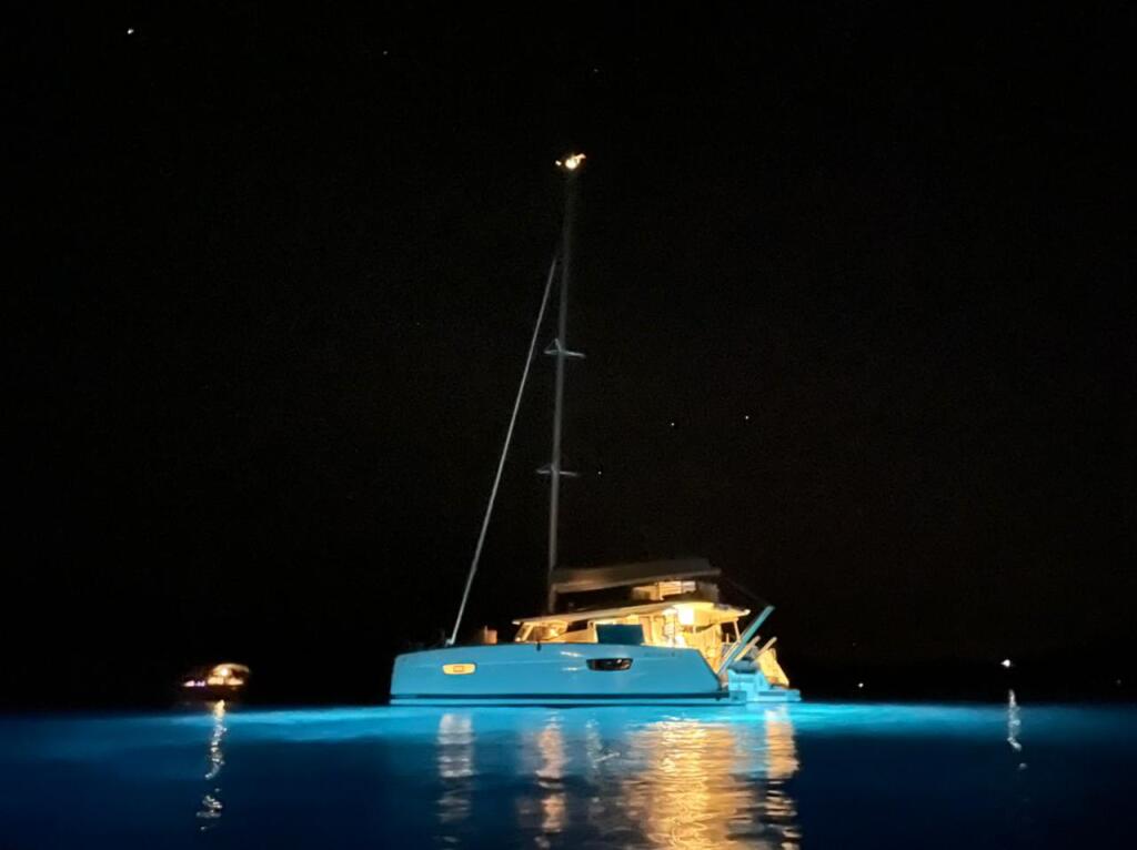 Catamaran 