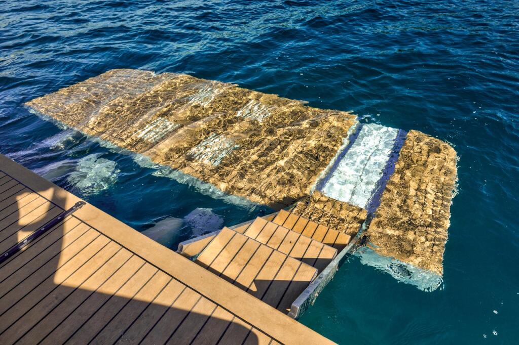 Motoryacht 