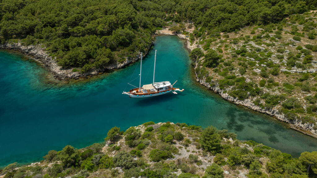 Gulet & Motor Sailer 