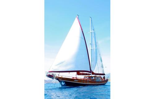 Gulet & Motor Sailer 