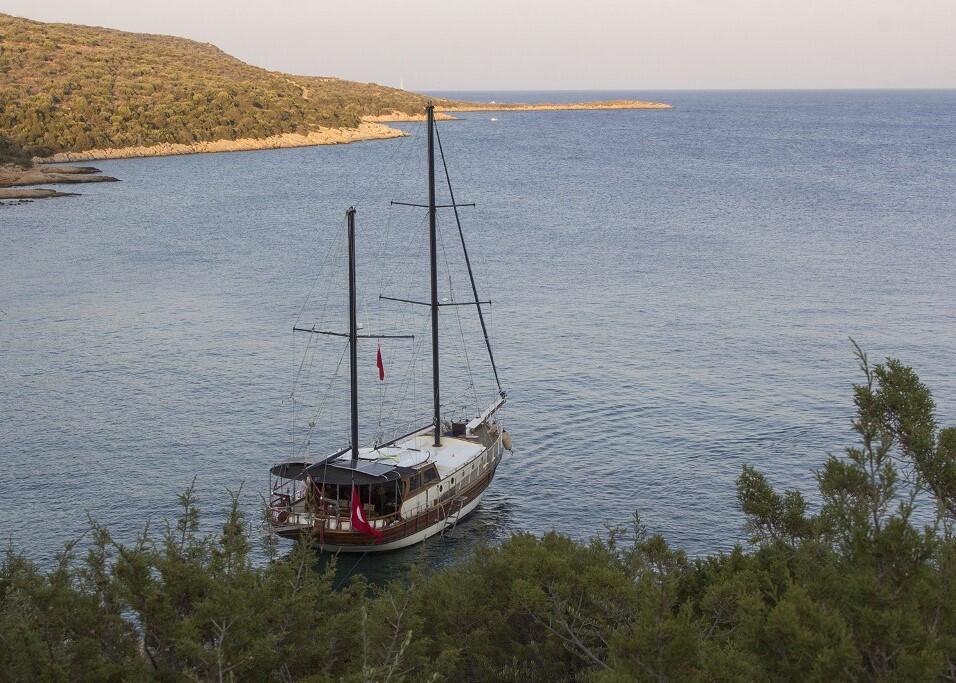 Gulet & Motorsailer 