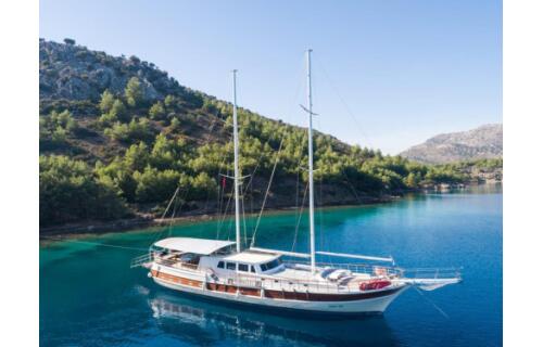Gulet & Motor Sailer 