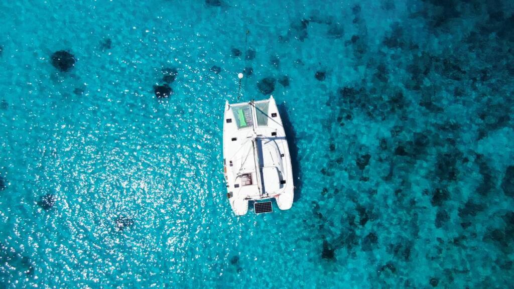 Catamaran 