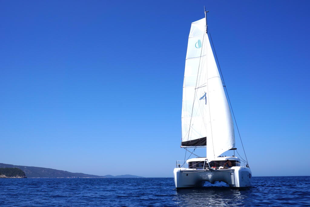 Catamaran 