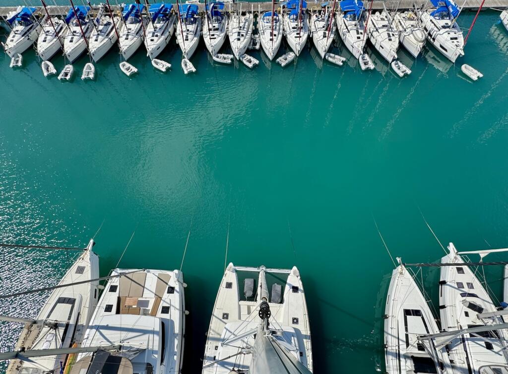 Catamaran 