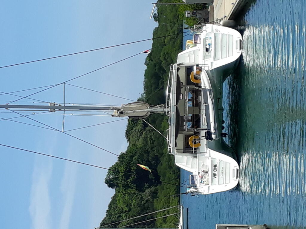 Catamaran 