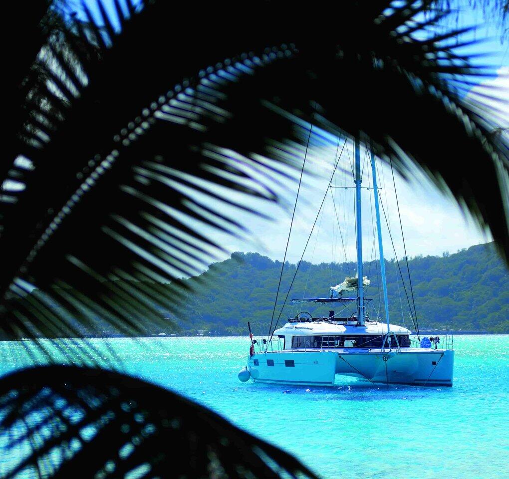 Catamaran 