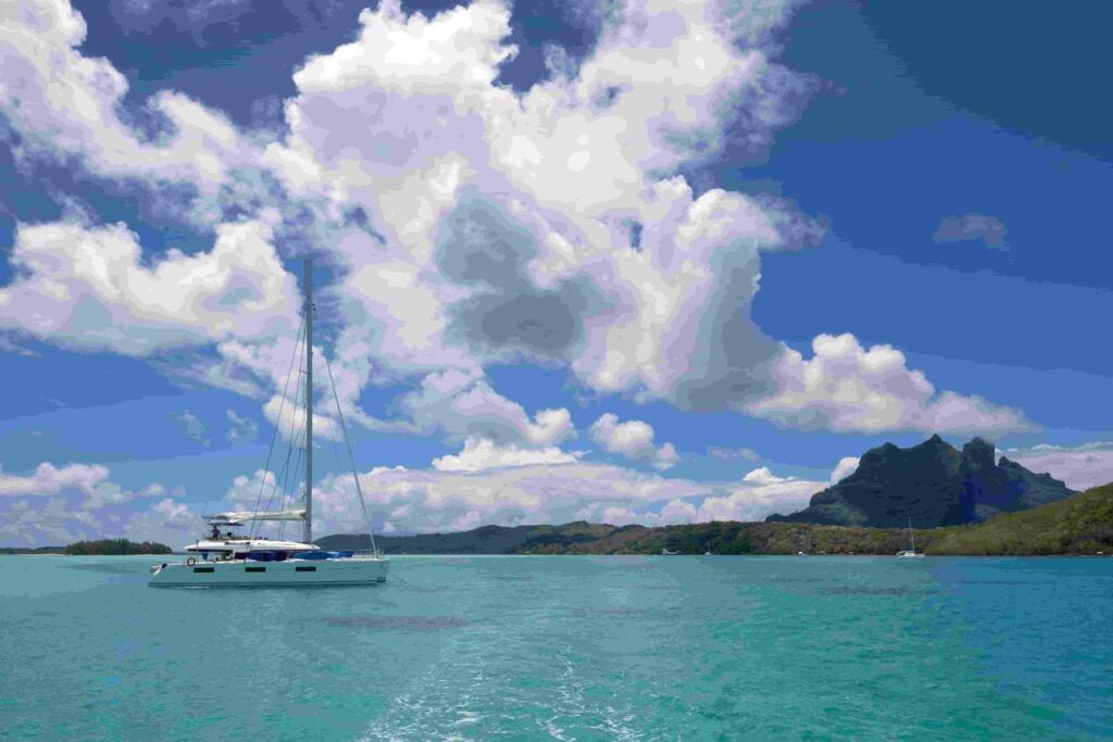 Catamaran 