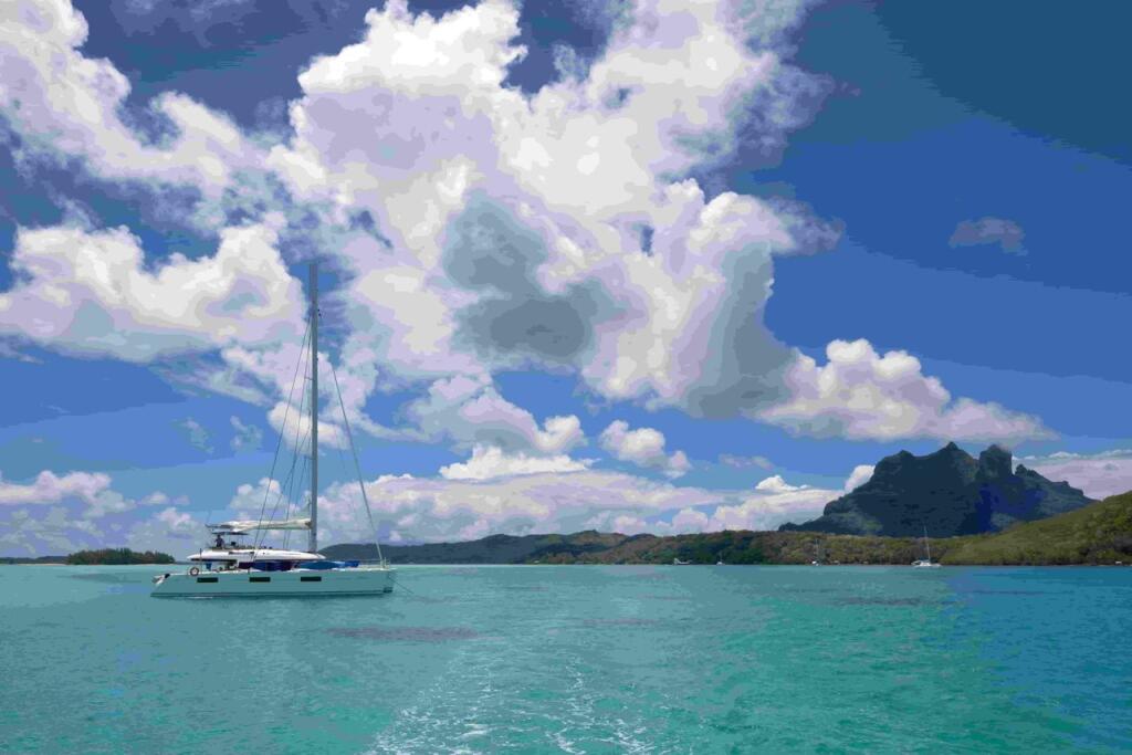 Catamaran 