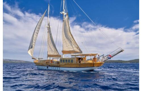 Gulet & Motor Sailer 