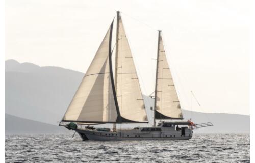 Gulet & Motor Sailer 