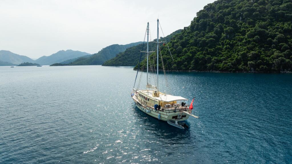 Gulet & Motor Sailer 