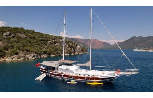 Gulet & Motor Sailer 