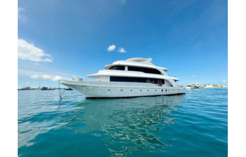 Luxury motor yacht 